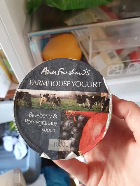 Ann Forshaw'S Farmhouse Yogurt Blueberry & Pomegranate