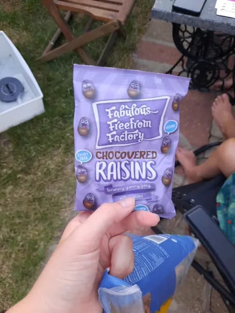 Fabulous Freefrom Factory Chocovered Raisins