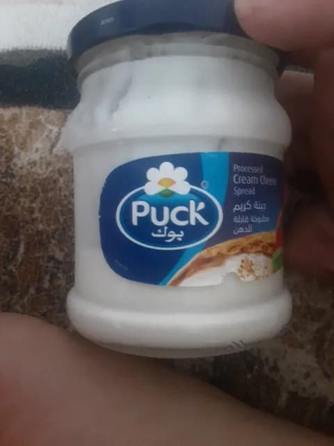 Puck Processed Cream Cheese Spread