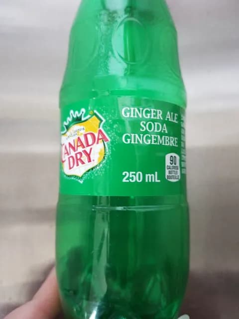 Canada Dry Ginger Ale Soda Gingembre