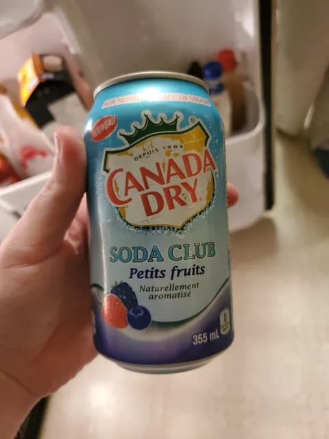 Canada Dry Petits Fruits Soda Club