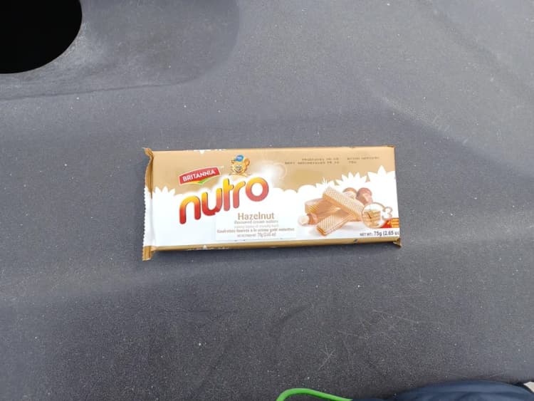 Britannia Nutro Hazelnut Flavoured Cream Wafers