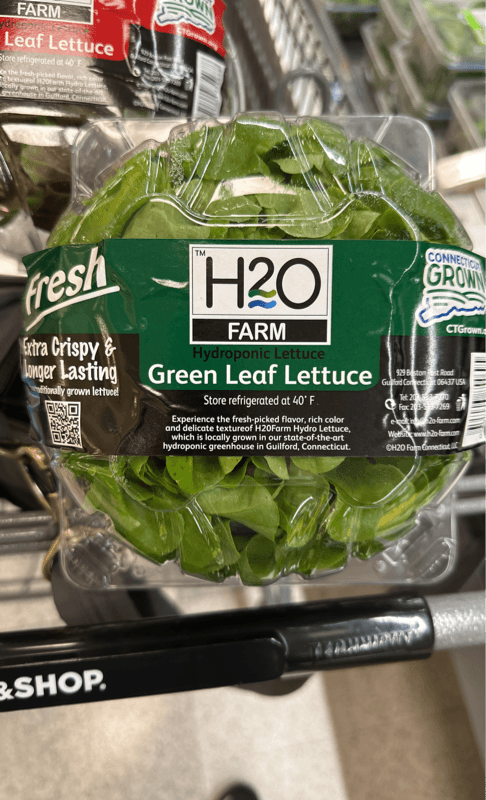 H2O Farm Hydroponic Green Leaf Lettuce