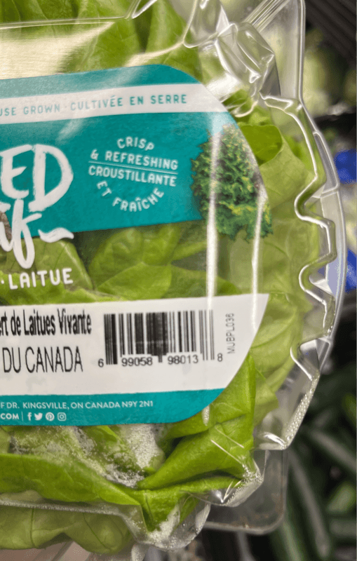 Mucci Farms Naked Leaf Lettuce