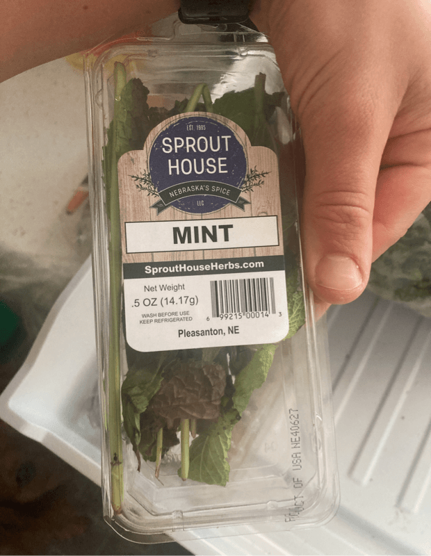 Sprout House Mint