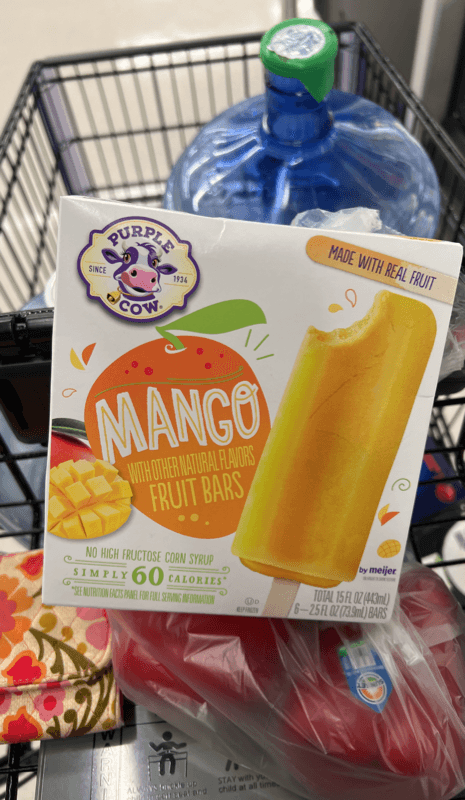 Purple Cow Mango Fruit Bars