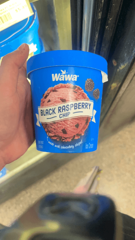 Wawa Black Raspberry Chip Ice Cream