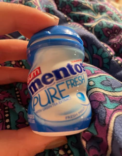 Mentos Pure Fresh Fresh Mint Gum With Green Tea Extract