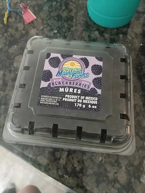 Mainland Farms Fresh Blackberries
