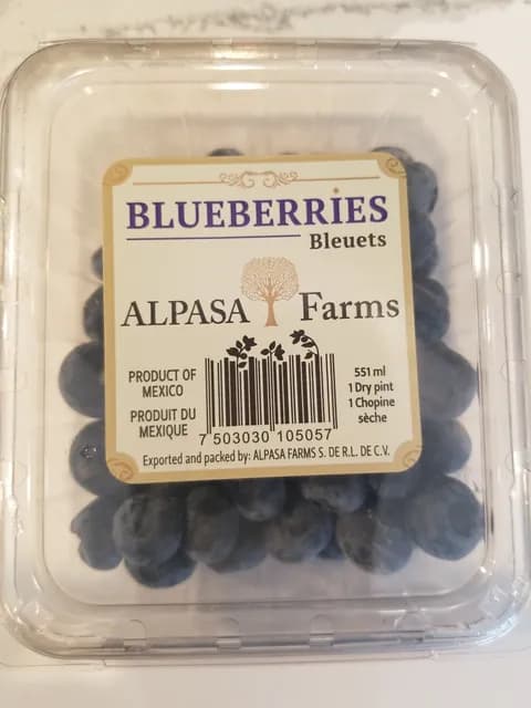 Alpasa Farms Blueberries