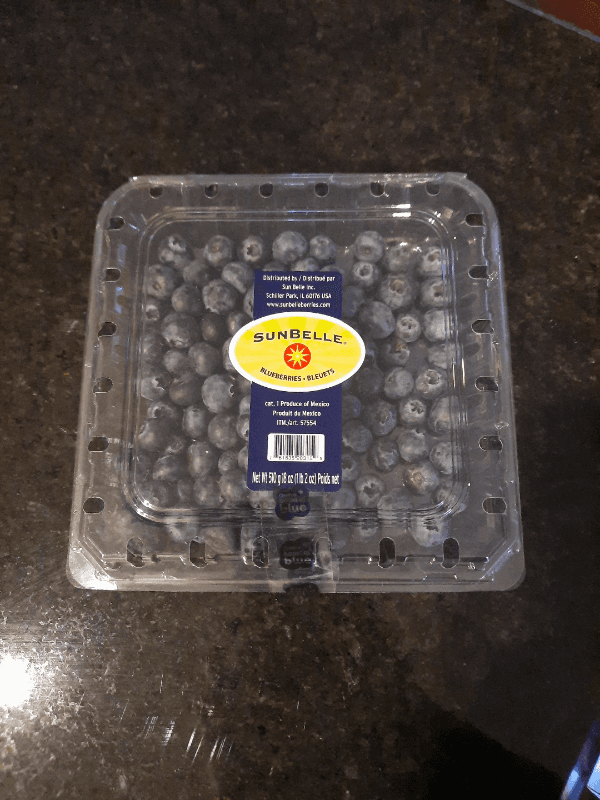 Sun Belle Blueberries