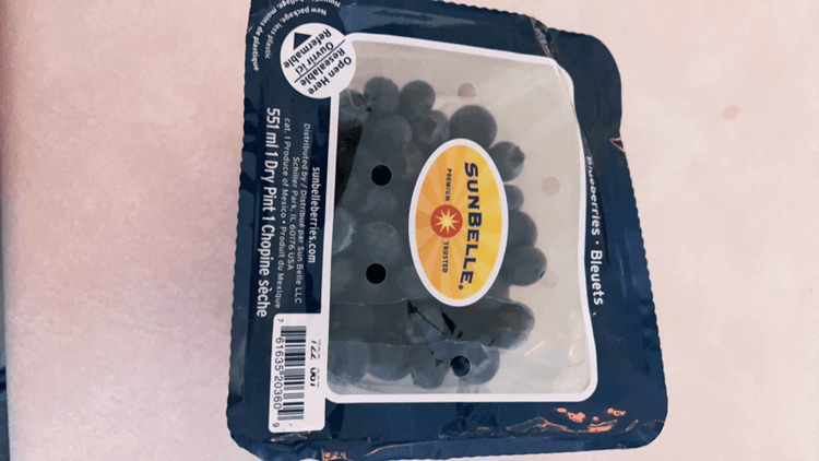 Sunbelle Blueberries