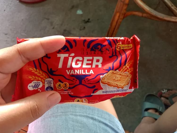 Tiger Vanilla Biscuit