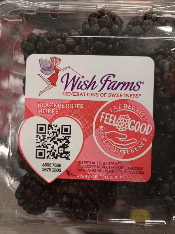 Wish Farms Blackberries