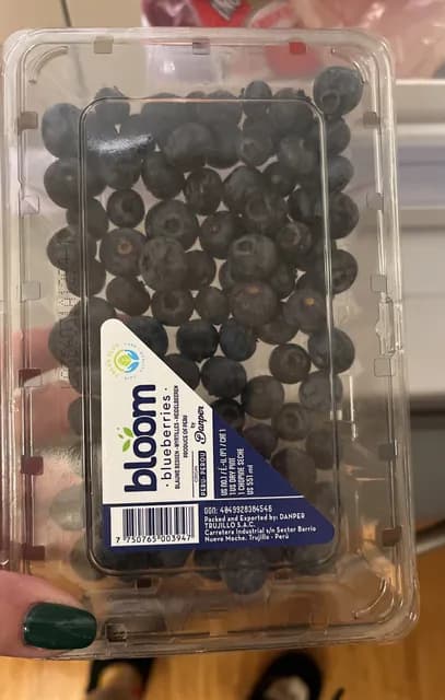 Danper Bloom Blueberries