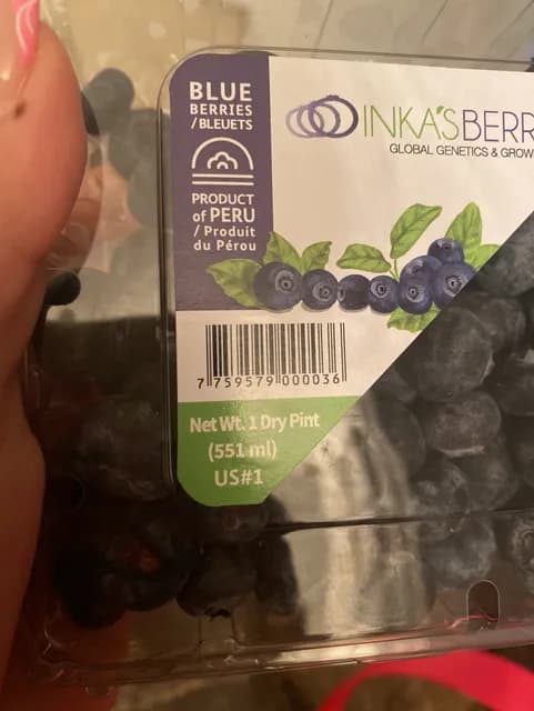 Inka'S Berries Blueberries