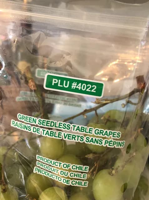 Green Seedless Table Grapes