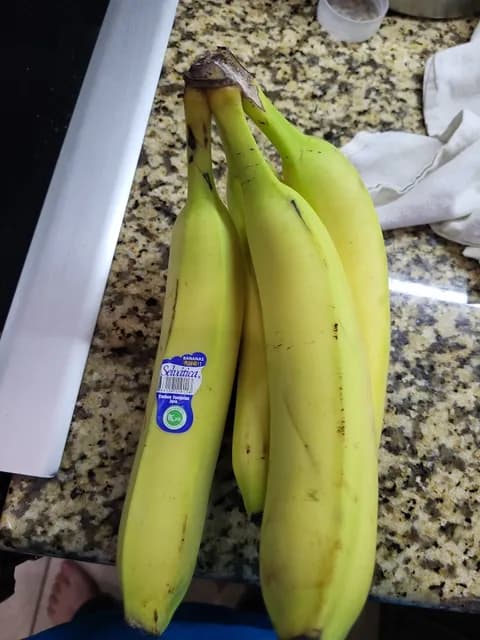 Selvatica Bananas