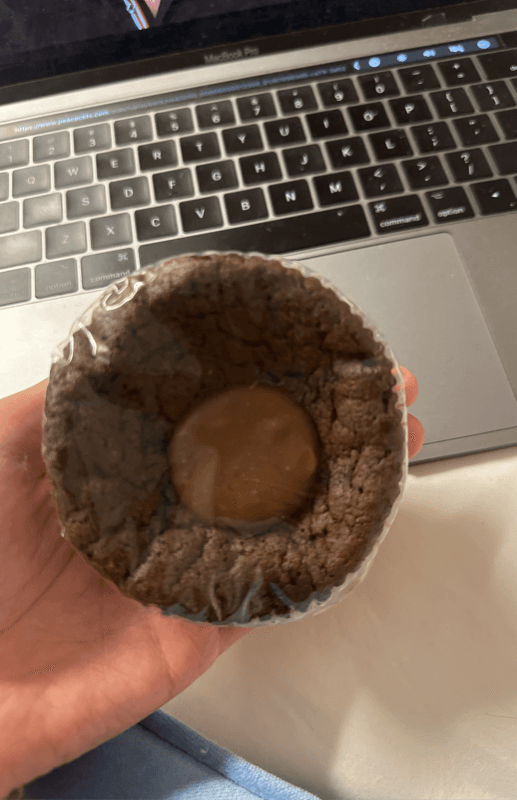 Ooey Gooey Molten Lava Cake Fudge