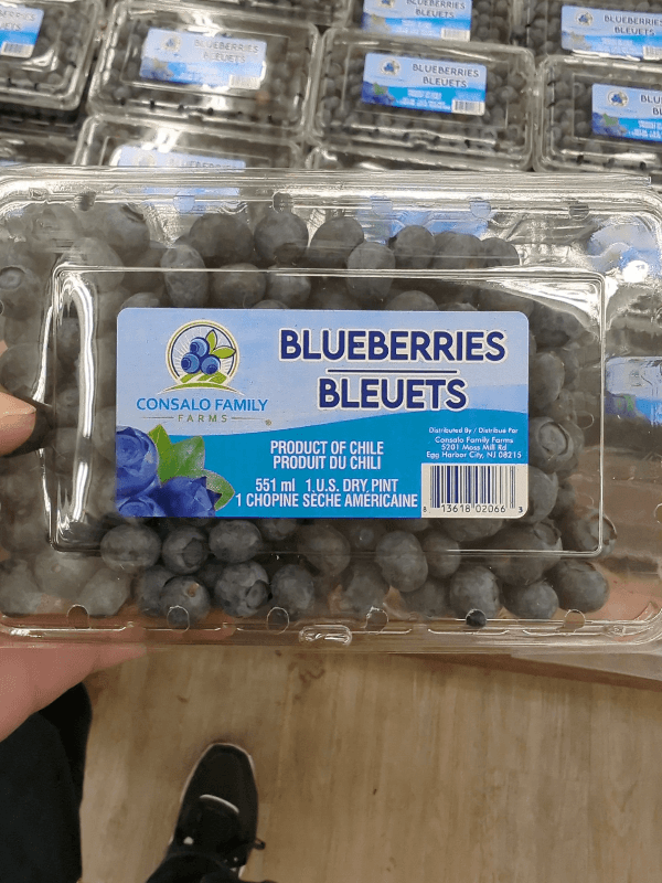Consalo Family Farms Blueberries