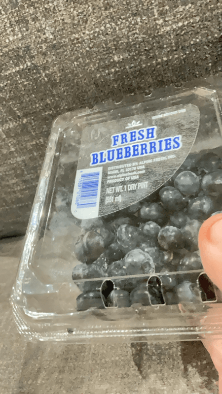 Alpine Fresh Blueberries, 1 Dry Pint