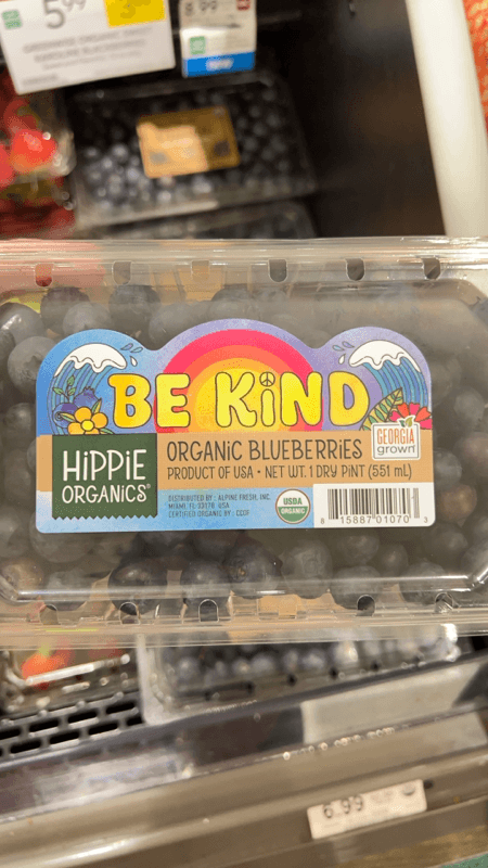 Hippie Organics Organic Blueberries, 1 Dry
