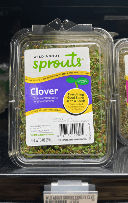 Wild About Sprouts Clover