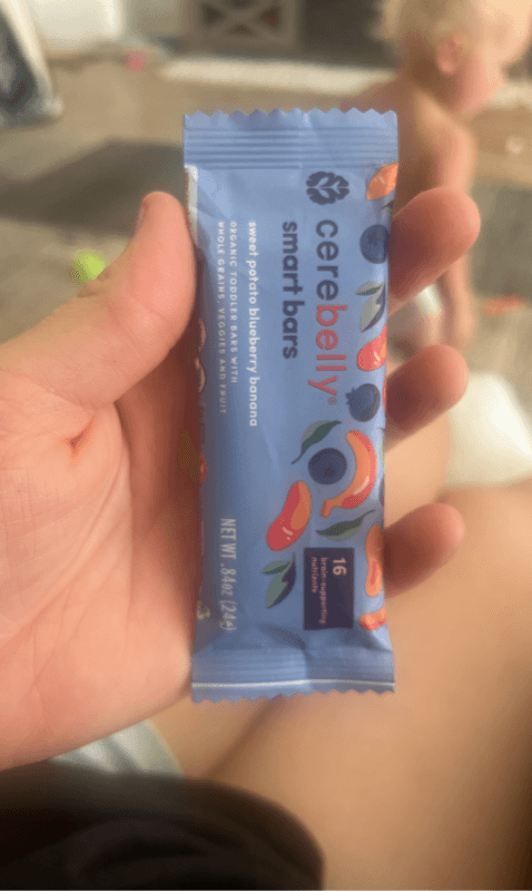 Cerebelly Sweet Potato Blueberry Banana Smart Bars