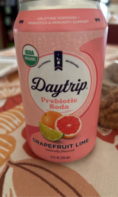 Daytrip Prebiotic Soda Grapefruit Lime