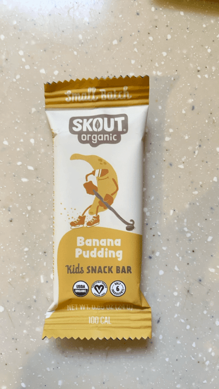 Skout Organic Banana Pudding Kids Snack Bar