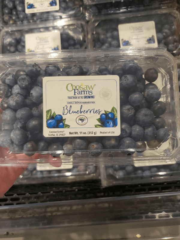 Coosaw Farms Blueberries