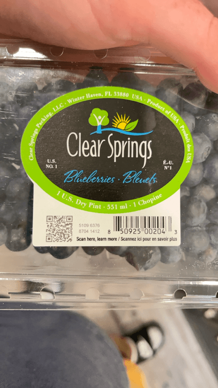 Clear Springs Blueberries