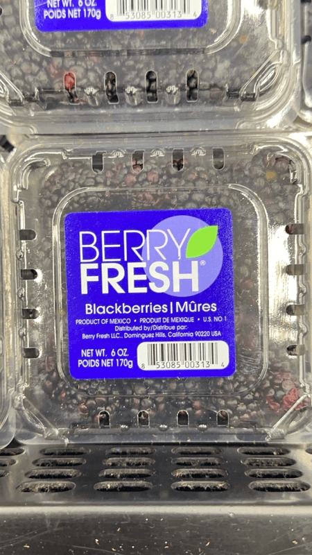 Berry Fresh Blackberries