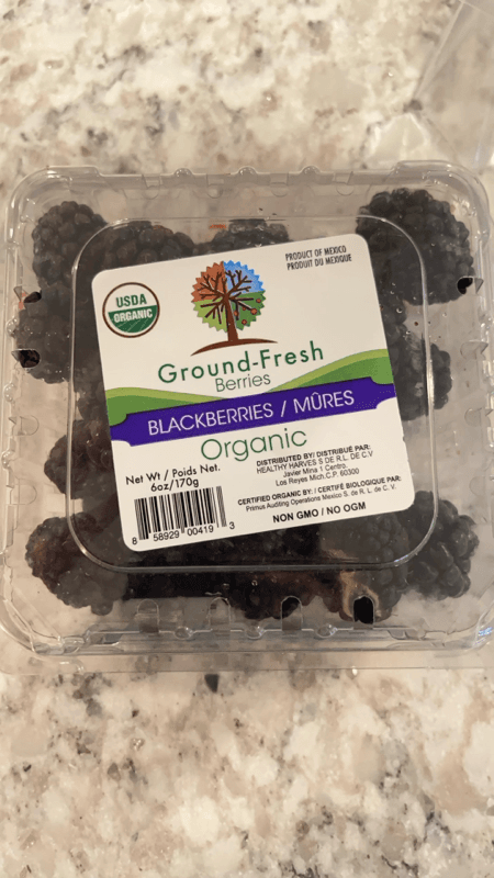 Ground-Fresh Berries Organic Blackberries
