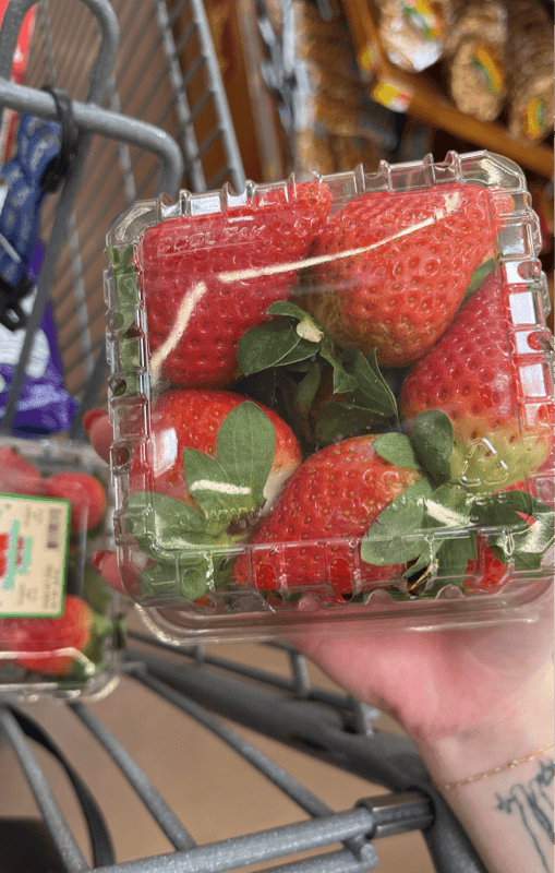 Sweet Success Strawberries