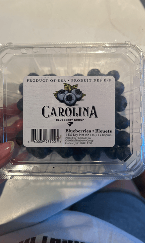 Carolina Blueberry Group Blueberries