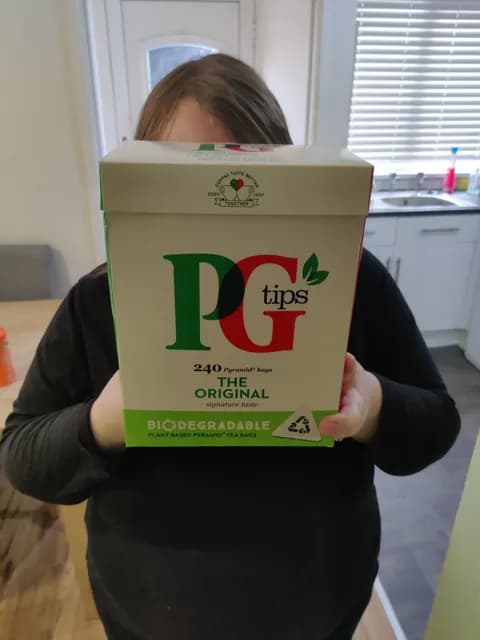 Pg Tips The Original Signature Taste Pyramid