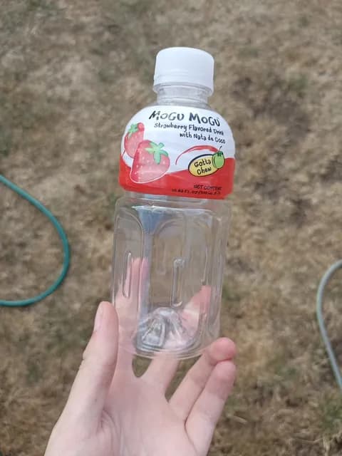 Mogu Mogu Strawberry Flavored Drink With Nata De Coco