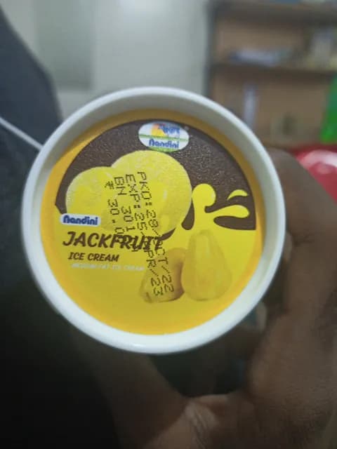 Nandini Jackfruit Ice Cream