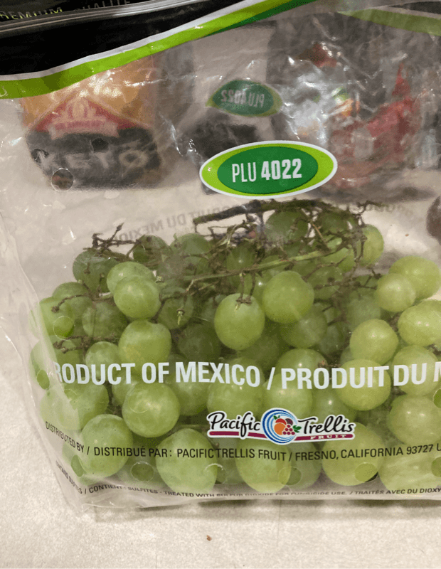 Pacific Trellis Fruit Plu 