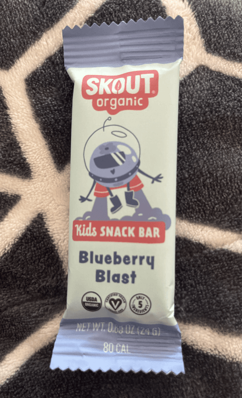 Skout Organic Blueberry Blast Kids Snack Bar