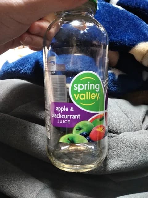 Spring Valley Apple & Blackcurrant Juice