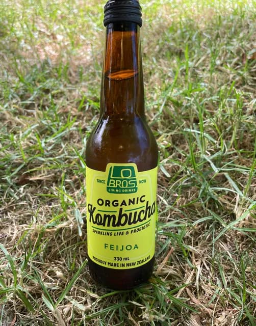 Lo Bros Living Drinks Organic Kombucha Feijoa