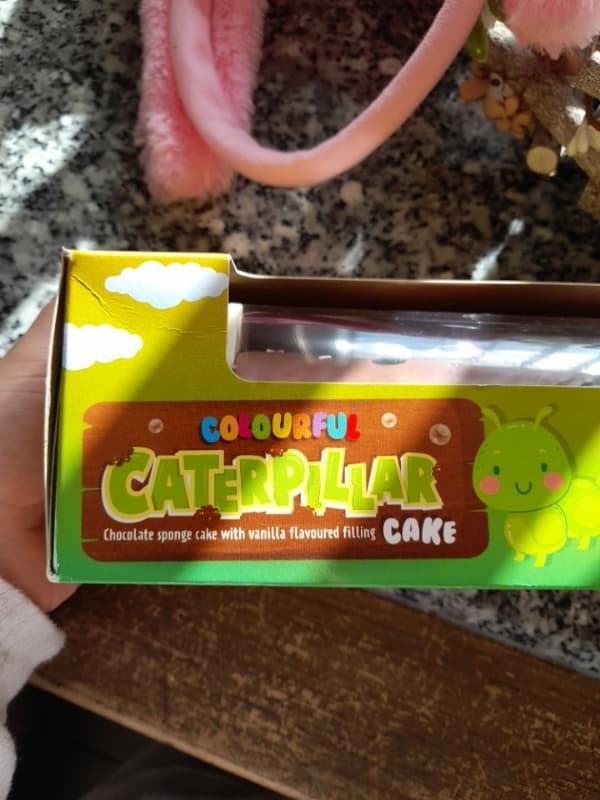 Colourful Caterpillar Chocolate Sponge Cake