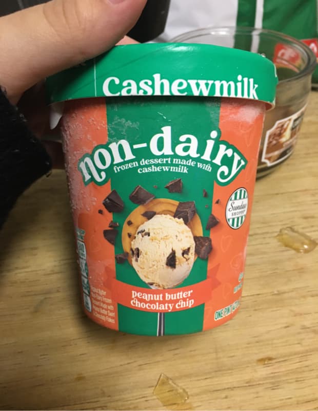 Sundae Shoppe Cashewmilk Non-Dairy Peanut Butter Chocolaty Chip  Dessert