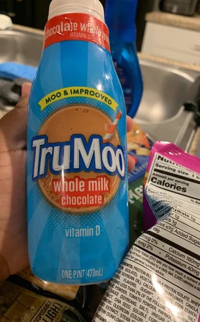 Trumoo One Pint Whole Milk Chocolate