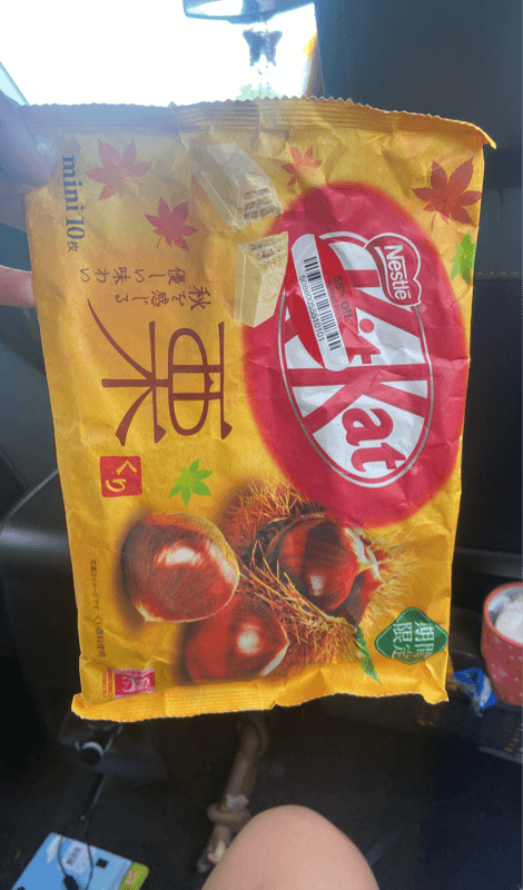 Nestle Kitkat Mini Chestnut Chocolate Snack