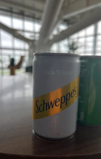 Schweppes Soda Water