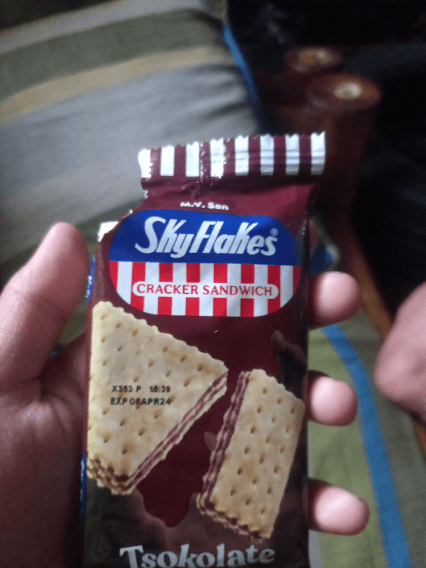 M.Y. San Skyflakes Cracker Sandwich Tsokolate
