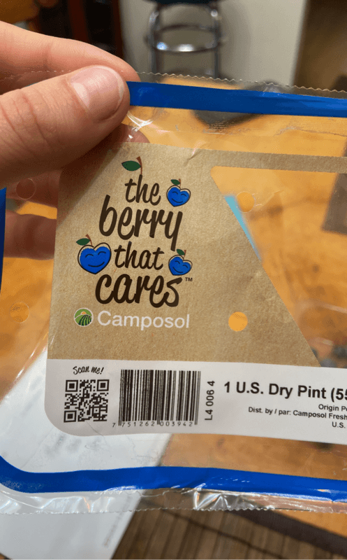 The Berry That Cares Blueberries